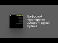 Как мы обнаружили цифровой «кооператив „Озеро“» друзей Путина