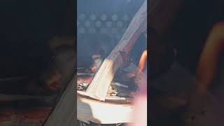 Making a FIRE in my Foldable Wood Stove