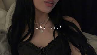 shakira! — she wolf (sped up) Resimi