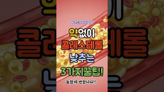 “약 없이 콜레스테롤 낮추는 3가지 꿀팁!”#건강 #건강정보 #건강지식