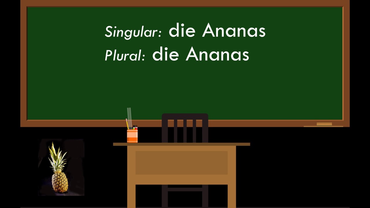 BILD WÖRTERBUCH BILD WÖRTERBUCH