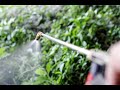 TIPS For Herbicide Application (DIY)