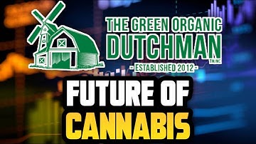 The Green Organic Dutchman Financial Stock Review: Organic Cannabis Supplier: $TGOD.TO