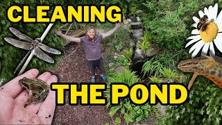 How to deep clean a garden pond! Everything you need to do and know!