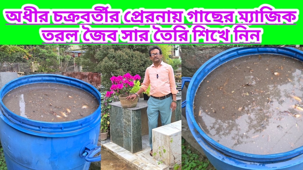 অধীর চক্রবর্তীর প্রেরণায় গাছের ম্যাজিক তরল জৈব সার তৈরি শিখে নিন||Plant Magic Liquid Fertilizer||