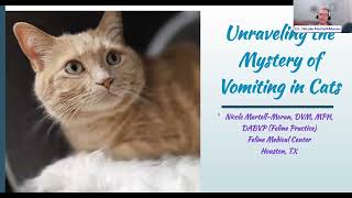 CE Webinar: Unraveling the Mystery of Vomiting in Cats