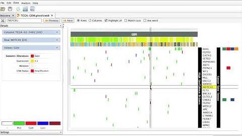 Interactive Heatmaps with Gitools