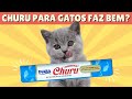 Churu para Gatos: Por que Ele é o Melhor Petisco do Mundo?