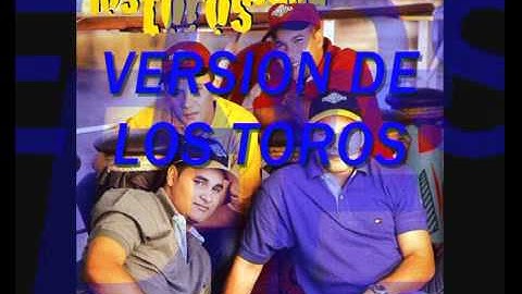 PA TODO EL AÑO: LOS TOROS BAND