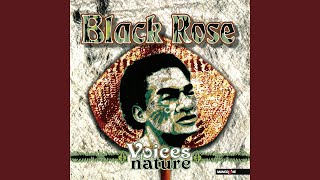 Video thumbnail of "Black Rose - Au s noa ia"