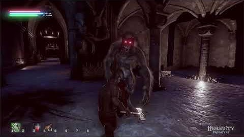 Dungeon Fighting Montage in Heredity, A Dark Fantasy Action RPG Video Game in Development