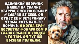 видео: ДВОРНИК нашел на свалке выброшенную СЛЕПУЮ СОБАКУ а когда привел ее к ветеринару, тот замер, увидев. картинка: ДВОРНИК нашел на свалке выброшенную СЛЕПУЮ СОБАКУ а когда привел ее к ветеринару, тот замер, увидев.