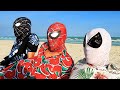 Team spiderman in real life  one day on the beach  live action 