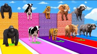 Choose Right Wall With Cow, Gorilla, Zombie Rex, Elephant, Tiger, Lion, Wild Animals Matching Game