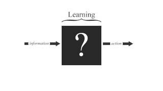 Famous Glass Box Learning Wealth