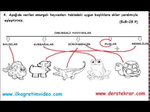 5. sınıf bilim uygulamaları 2. dönem 2. yazılı (örnek 1-2019) 5. Sınıf Bilim Uygulamaları 2. Dönem 2. Yazılı (örnek 1-2019) - YouTube