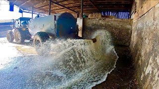 NOW THIS IS HOW YOU CLEAN A SHED UP !