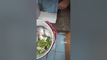 Trả hàng test máy kich cá 25 đ của chung đôi