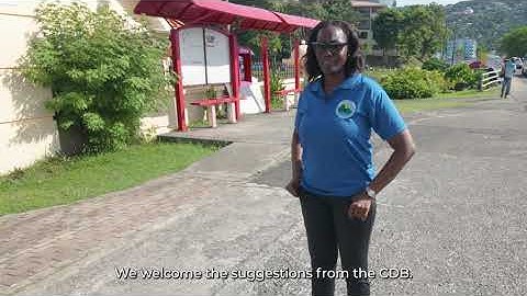 Pathways to Progress: Development of Sustainable Public Transport Systems Project