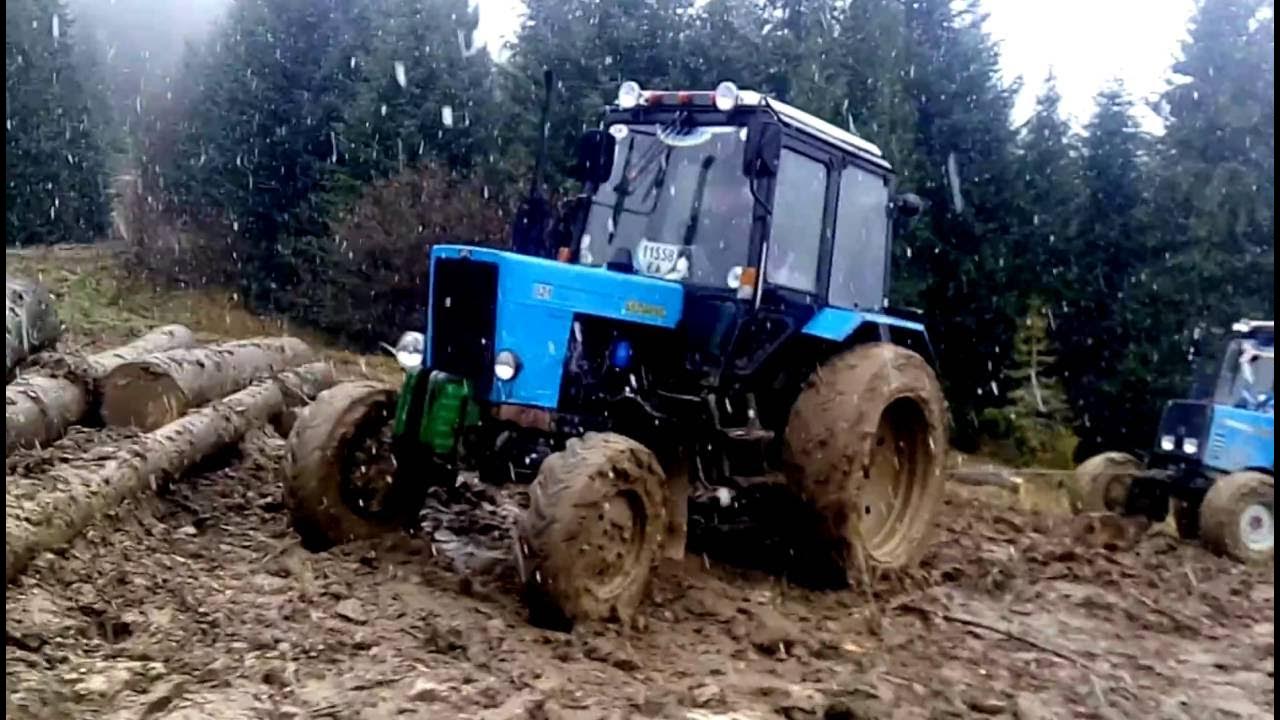 Работа мтз видео. Трактор МТЗ 82 лес. МТЗ 82.1 В лесу. МТЗ 80 В лесу. МТЗ 82 В лесу.