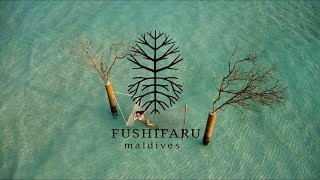 Fushifaru Maldives - Our Engagement In Paradise 4K