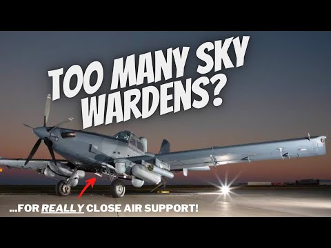 Sky Warden Purchase