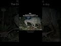 THE CRETACEOUS In Real Life (scientifically accurate) #cretaceous #prehistory #paleontology