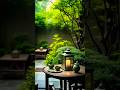 Уединённое место тишины, покоя и гармонии #relaxing #nature #beautiful