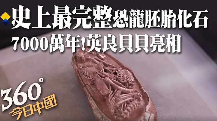 【360°今日中國】驚人發現!距今7000萬年!全球保存最完整的恐龍胚胎化石亮相,暱稱「英良貝貝」 藏着鳥類進化的秘密?@Global_Vision  20211226 - 天天要聞