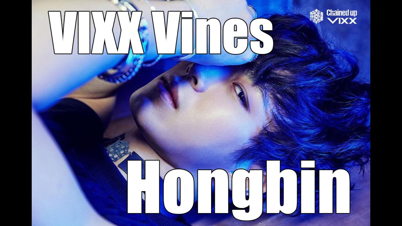 VIXX Vines - Hongbin