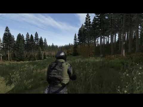 Видео: DAYZ. Сервер Wildie после обновления