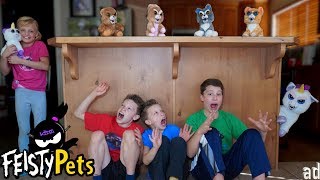 Thanks to feisty pets for sponsoring this video. we love pets. you can
get yours at target retailer. it's bedtime the ninja kids. during
story tim...