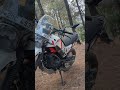 #shorts #youtubeshorts