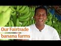 Sainsbury's Fairtrade banana farms in Columbia
