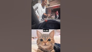 wait for twist 😂 #cat #meme #dance