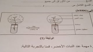 حل نموذج في مادة العلوم الطبيعية للسنة الأولى متوسط