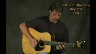 Cattle in the Cane chords