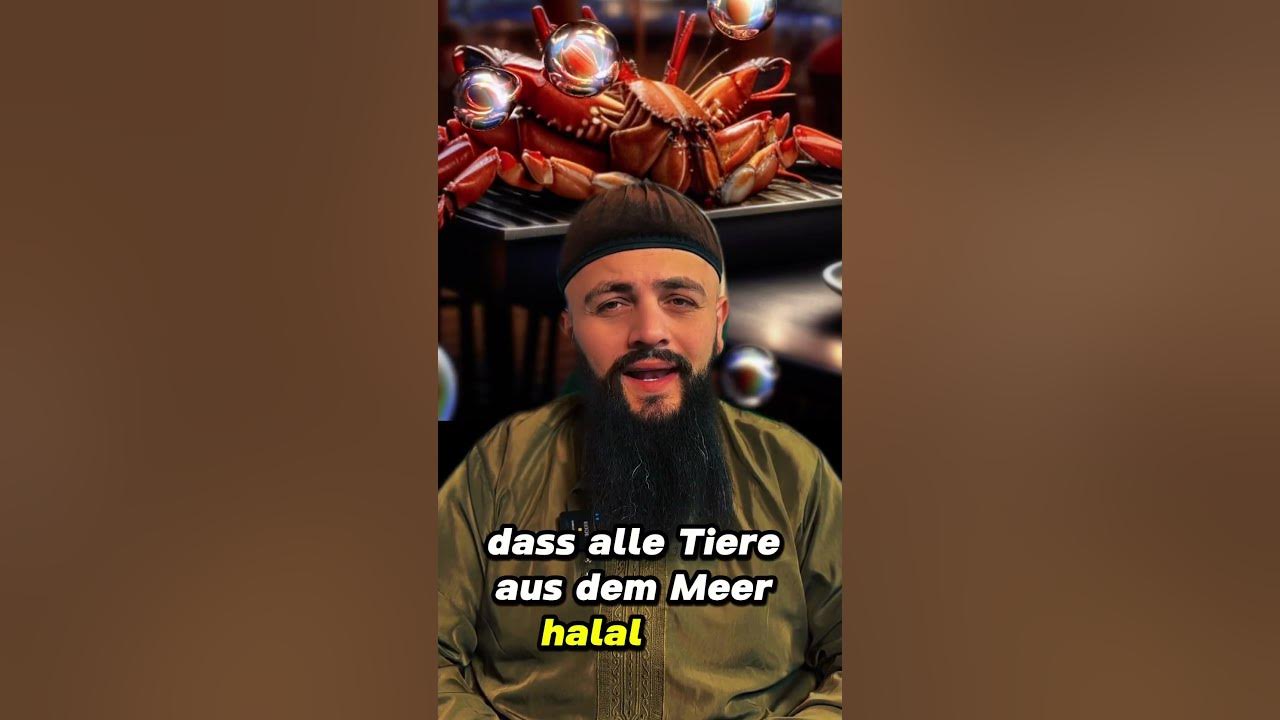halalfood food sea hummer garnelen krebse prawns haram foodie halalfood-food-sea-hummer-garnelen-krebse-prawns-haram-foodie