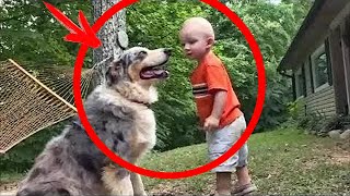 Dog playing with child makes sudden movement, saves its life as a result!