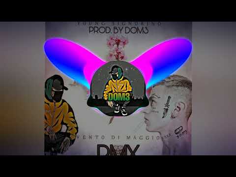 YOUNG SIGNORINO -