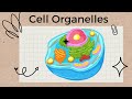 Cellular Structures and Functions Unveiled