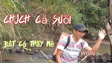 clip, 10:Ba anh em ra suối chích cá...bắt cá thấy mê.