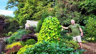 Preparing the Garden for Visitors