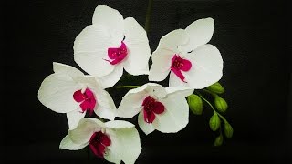 ABC TV | Как сделать орхидею фаленопсис из креповой бумаги - Урок ремесла