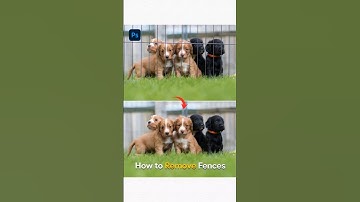 Adobe Photoshop 2025 Tips  & Tricks _ How to Remove Fences in Photoshop #adobe #photoshopartstudio