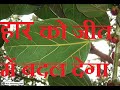 FAUJI baba - YouTube