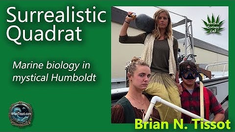 Surrealistic Quadrat: how we do science in Humboldt County