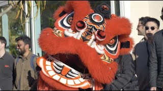 Lunar New Year Festival 2023 Lion Dancers