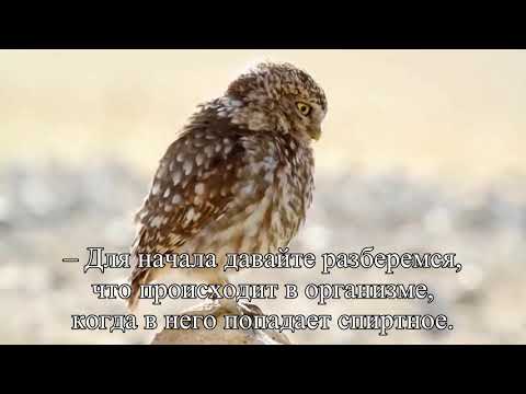 Алкогольные мифы можно