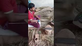 Flowers are like a broom, a monkey is a broom.